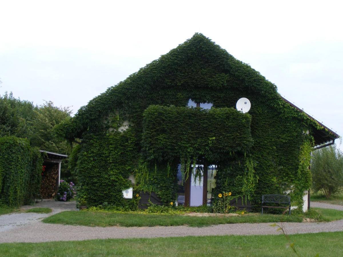 Dworek Lachowicze Grzegorzewice Bagian luar foto